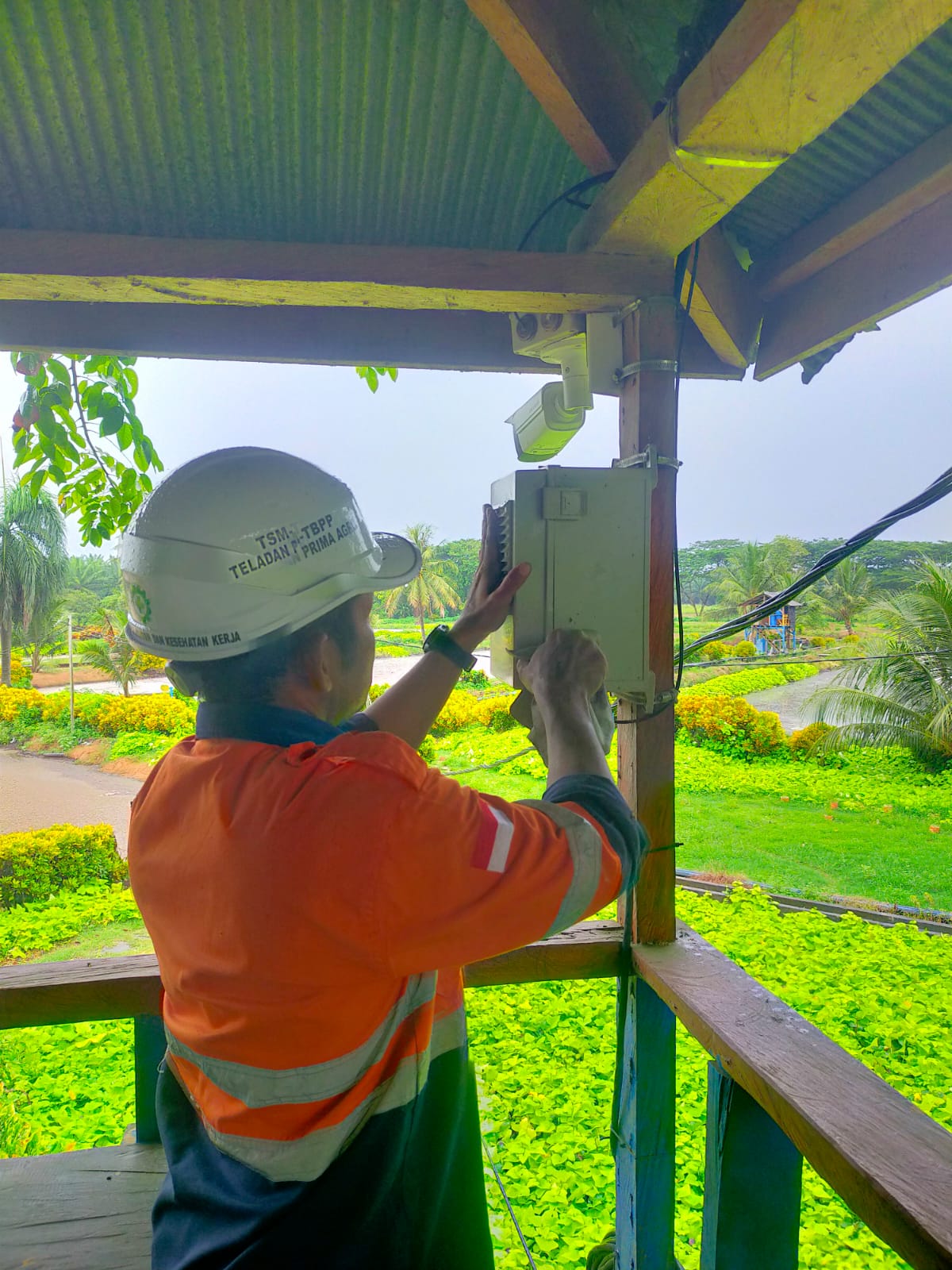 Teknisi lapangan memeriksa instalasi CCTV di area perkebunan